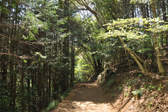 高尾山クラブ